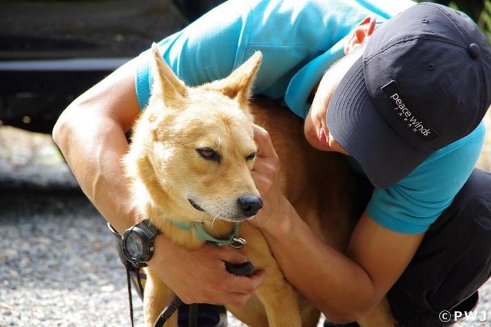 Comment the Animal protection ordinance