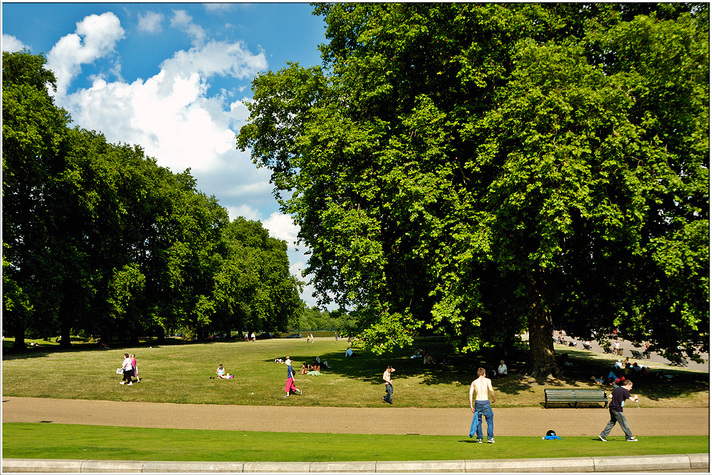Canine Parks in each district Canine Parks in each district